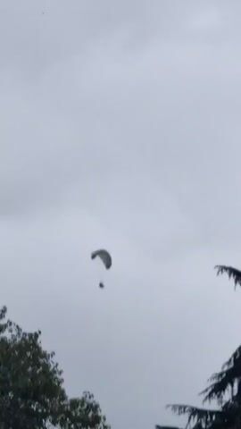 A paraglider is seen in mid-air against a cloudy sky, with trees in the foreground.