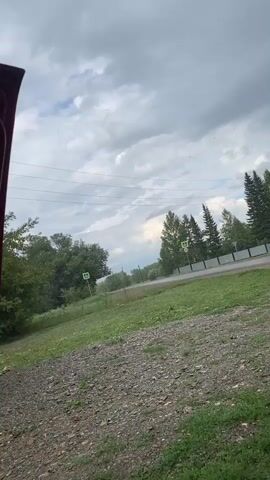 The video shows a rural scene with a cloudy sky and trees. A dirt path is in the foreground, and a paved road is visible in the background. There are pedestrian crossing signs on both sides of the road. Power lines run across the sky. Small white specks, possibly insects or dust, are visible in the air. The overall impression is of an outdoor, somewhat overcast day in a non-urban area.