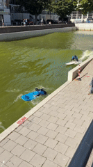 Urban canal surfing session draws multiple participants in Rotterdam