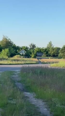 A daytime video pans across a rural landscape under a clear blue sky. In the foreground, a dirt path winds through tall, dry grass. The path appears to lead towards a paved road in the middle ground. Beyond the road, a field of similar tall grass stretches towards a line of trees and a few small buildings, one with a dark roof. The trees are a mix of deciduous and coniferous species, with lush green foliage. The scene is tranquil and evokes a sense of peaceful solitude.