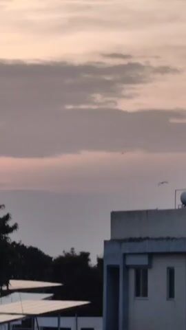 A few birds fly through a hazy sky with pastel-colored clouds. Solar panels are visible in the foreground, and a building can be seen to the right.