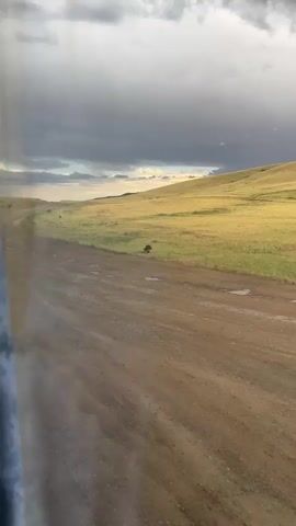 The video shows a dirt road passing through a vast grassland in Karagayl, Kazakhstan. The landscape is characterized by rolling hills covered in dry, golden grass, with patches of green interspersed. The sky is dramatic, with heavy, dark clouds dominating the upper portion, suggesting an approaching storm. However, there are breaks in the clouds, allowing sunlight to illuminate the hills in a warm, golden hue.

A single, dark-colored animal, possibly a wild dog or a fox, is visible in the middle ground, walking alongside the road. It is the only living creature prominently featured in the scene. The road itself appears wet in places, possibly from recent rain. The overall mood of the scene is one of natural beauty and wildness, with a hint of dramatic weather. The time of day appears to be late afternoon or early evening, given the quality of the light. No text is visible in the video.