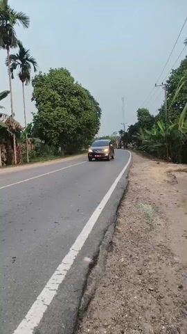 A dark colored sedan is driving down a paved road. The road is lined with trees and vegetation. The sky is overcast. The camera is positioned on the side of the road, looking towards the approaching vehicle.