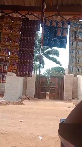 The video depicts an outdoor scene, likely a rural or semi-rural area, from the perspective of someone sitting under a makeshift shelter. The shelter's roof is made of corrugated metal and is adorned with rows of hanging snacks in colorful packaging.

In the middle ground, a dirt road leads to a large, open metal gate flanked by unfinished cinder block walls. Beyond the gate, a palm tree and other greenery are visible.

In the foreground, a blue plastic table holds two plates of red tomatoes. The overall impression is of a small roadside stand or shop. The lighting is bright, suggesting a sunny day. The video appears to be handheld and has some minor shaking.