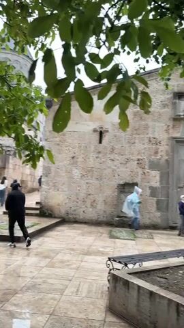 A group of people walk through a courtyard with stone pavement and a weathered stone building on the right. Green leaves from a tree overhang the scene from the top left. The building has a small window and a stone carving. Some people are holding umbrellas, suggesting it might be raining.