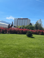 Sofia residents document sunny spring day activities across city