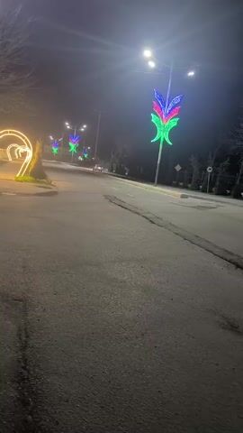 The video shows a night scene of a mostly empty street. On the left side of the road, there's a series of illuminated heart-shaped structures. Further down the street, there are streetlights decorated with what appear to be stylized floral designs in blue, red, and green. There are some trees without leaves on either side of the street. A single car is seen driving in the distance. The road is paved and appears to be in a residential or park area. The sky is dark and there is a slight haze or fog in the air.