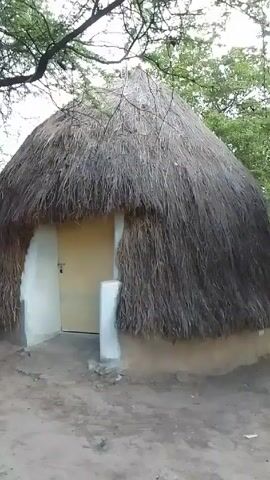 The video shows a traditional-looking hut with a thatched roof. The hut has a white-painted entrance and a light-colored door. The structure is set against a backdrop of trees and a sandy ground. There are faint sounds of music in the background. Overall, the video captures a simple, rural scene featuring this distinctive type of shelter.