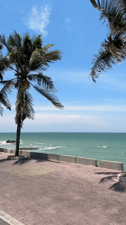 Morning coastal scenes and family scooter ride in Vietnam