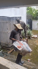 Outdoor maintenance and manual labor underway in Iju, Nigeria