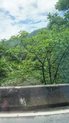 The video shows a view from a moving vehicle, likely a car, traveling along a road bordered by a concrete barrier on the right side. Lush green trees and vegetation are visible beyond the barrier, obscuring the terrain beyond. The weather appears overcast. The road surface is gray and shows signs of moisture. The vehicle's movement is smooth and steady, maintaining a consistent perspective of the scenery. The only sounds are of speech, which is indistinct.
