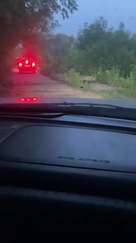 The video shows the interior of a car, looking out at a dark, unpaved road. Another car with its red taillights illuminated is driving away from the camera, crossing a narrow wooden bridge. Trees and vegetation line the sides of the road. It appears to be dusk or a cloudy day, as the lighting is dim. The dashboard of the car in the foreground is visible, with "SRS AIRBAG" printed on it.