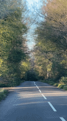 Vehicle travels tree-lined road in Potten End countryside