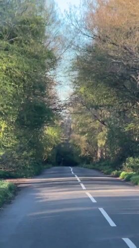 Vehicle travels tree-lined road in Potten End countryside