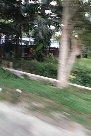 The video captures a blurry, handheld view of an outdoor scene, likely a street or roadside. The camera appears to be moving, resulting in a shaky and indistinct image. In the foreground, there is a patch of grass and what seems to be a paved surface. Further back, there is a body of water with reflections, and some indistinct structures, possibly buildings or shacks, are visible near the water's edge. There are also trees and foliage, suggesting a natural environment. The overall impression is one of movement through a somewhat overgrown or undeveloped area.