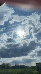Sky view and toy crab documented by witness