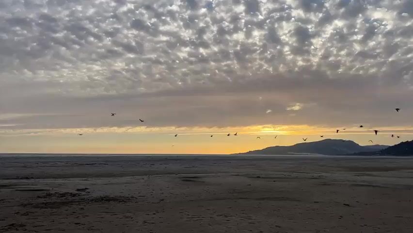 A flock of birds flies across a beach at sunset. The sky is filled with dramatic clouds and the sun is setting over the horizon, casting a warm glow on the scene. The beach is sandy and empty, with the waves of the ocean gently lapping at the shore in the background. The birds are silhouetted against the bright sky, adding a sense of movement and life to the otherwise still landscape.