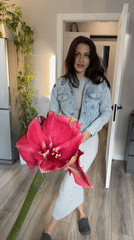 Domestic scenes captured in Russian interior space