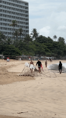 Morning surf session underway at Weligama beach, Sri Lanka