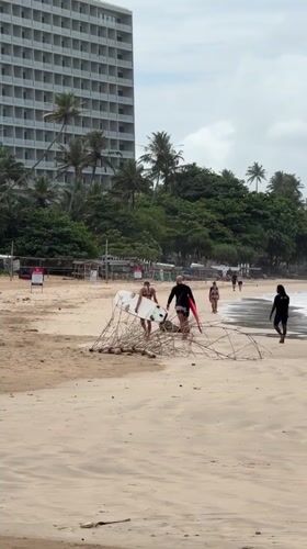 Morning surf session underway at Weligama beach, Sri Lanka