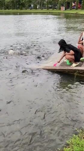 Morning fish feeding draws families to Thai lake