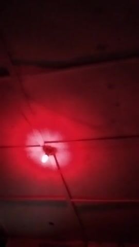 The video shows a red-tinged view of a ceiling with exposed electrical wiring. A single lightbulb illuminates the room with a red hue. The ceiling is made of paneling, with visible seams and imperfections. The lighting conditions are poor, emphasizing the red tint.
