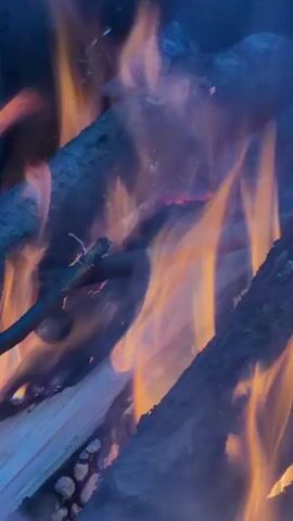 The video displays a close-up view of a campfire with burning wooden logs. Flames are visible, emitting orange and yellow hues along with smoke. A small twig is burning amidst the larger logs. A voice speaks in the background, saying "Shut up your mouth."