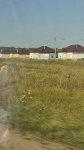 The video shows a wide shot of a rural area with a line of single-story houses with brown roofs in the background. The houses are mostly white and yellow, and they appear to be modern construction. There are power lines running between utility poles in front of the houses. The foreground is a field of tall, dry grass with some smaller flowers. The sky is clear and blue. The camera appears to be moving, suggesting the footage was taken from a vehicle. The overall impression is of a suburban or exurban landscape on a sunny day.