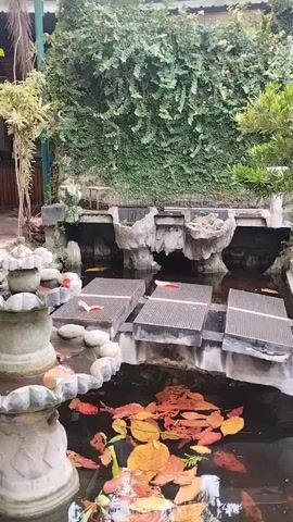 The video pans across an outdoor courtyard with a koi pond and a fountain. In the background, a building with wooden accents and outdoor seating is visible. The pond contains several koi fish and is decorated with fallen autumn leaves. A multi-tiered fountain sits in the foreground, with rocks and decorative elements around its base. The overall environment appears to be a tranquil garden or patio area, possibly associated with a restaurant or cafe.