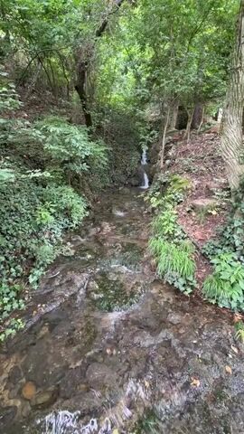The video shows a stream flowing through a wooded area. The stream bed is rocky, and the water is clear. Trees and foliage surround the stream, creating a lush, green environment. Sunlight filters through the leaves, dappling the water and rocks. The camera pans slightly, following the course of the stream. There is a small waterfall in the distance.