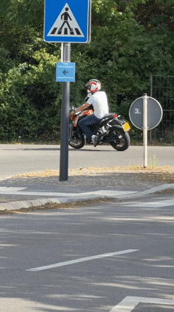 Dogs, cyclists, and street scenes across Esch-sur-Alzette