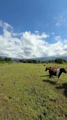 The video shows a woman in a bikini top and red shorts wearing a woven hat riding a horse in a grassy field. There are two other horses nearby, and a man is standing in front of the woman, taking a picture of her with his phone. Another person stands near the man with the phone. The sky is blue with some clouds, and there are mountains in the background. The sun is shining.