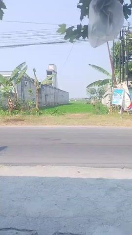 A white sedan drives by on a paved road. In the background, there is a long, gray building with a tall, square structure next to it. Banana trees are visible, and in the foreground, a white cloth bag hangs from a branch. The sky is clear and bright.