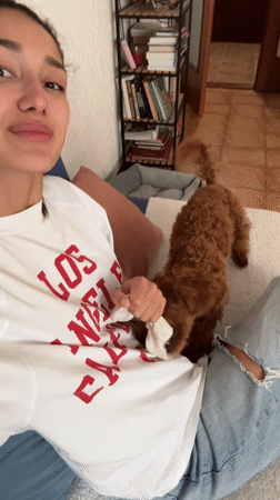 Woman films video with poodle in Montenegro apartment