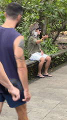 Tourists interact with macaques at Ubud monkey sanctuary