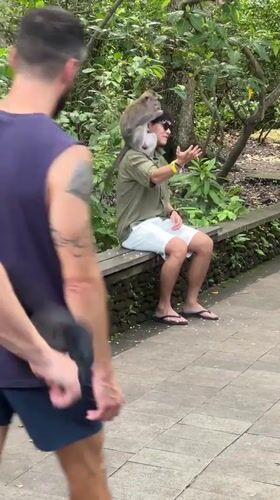Tourists interact with macaques at Ubud monkey sanctuary