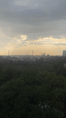 Belgrade skyline captured from elevated view showing bridge, trees