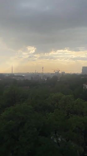 Belgrade skyline captured from elevated view showing bridge, trees
