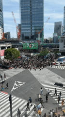 Normal morning activity documented at Tokyo's Shibuya Crossing