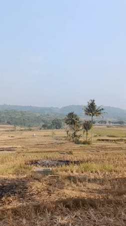 Cariu, Indonesia