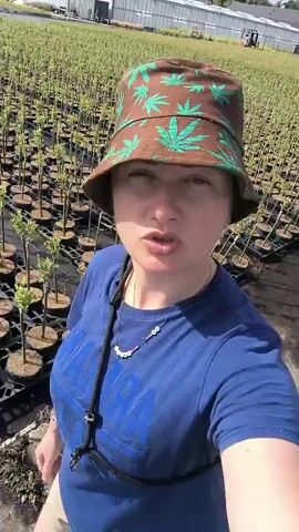 A medium shot shows a woman from the chest up wearing a blue t-shirt and a brown bucket hat with green cannabis leaf patterns. She has a necklace with white beads and a black cord around her neck. She is standing outside in what appears to be a nursery or greenhouse. Rows of small potted plants stretch out behind her in the background. She is looking at the camera and appears to be speaking, though her mouth is mostly closed.
