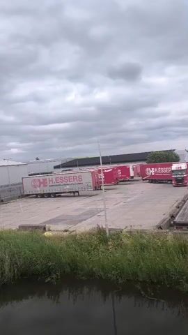 This media file captures an overcast day in Uithoorn, Netherlands, featuring a fleet of H.ESSERS trucks parked in a lot. The scene is dominated by the trucks, which are predominantly white with bright red accents, and bear the H.ESSERS logo along with the text "WAREHOUSING TRANSPORT SYSTEMS."

Several trucks are visible, mostly in a row, with one red H.ESSERS tractor unit at the forefront, attached to a trailer. Another trailer, partially visible on the far right, appears to be a flatbed. The lot itself is paved with concrete and shows signs of wear. In the foreground, lush green grass and reeds line the edge of a dark body of water, reflecting the overcast sky.

The time of day is indeterminate due to the cloudy conditions, but it appears to be daytime. The weather is consistently overcast, contributing to the muted light and diffused shadows across the scene. The overall impression is one of a working logistics facility, with the parked trucks suggesting a period of rest or preparation before their next journeys. There are no people visible in the frame, and the scene conveys a sense of industrial quietude under a gray sky. The presence of the water and reeds hints at a location near a canal or waterway, typical of many industrial areas in the Netherlands.