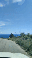 Vehicle travels scenic coastal road under clear skies