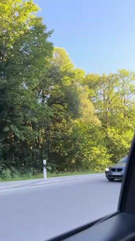 The video captures a roadside view from a moving vehicle. The left side of the frame is dominated by a dense forest with lush green trees under a clear blue sky. Sunlight filters through the leaves, creating dappled light. A white post with a black top is visible on the edge of the road. A paved road runs horizontally across the lower portion of the frame, appearing slightly wet. A dark-colored car is seen driving away from the viewer on the road, its headlights illuminated. The right side of the frame is partially obscured by the interior of the vehicle from which the video is recorded, with a dark element suggesting a window frame or car door. The overall scene depicts a serene, natural environment encountered during travel.