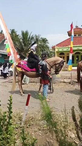 The video shows a procession with horses and people, possibly a celebration or cultural event. In the foreground, a tan horse is being held by a man wearing a dark shirt with a white number 9 on the back and blue jeans. The horse is adorned with a colorful saddle pad. On the horse's back sits a person wearing a black robe and a white headscarf, holding a long, white and red striped flag pole. Another horse, lighter in color, stands to the left, also with a person on its back. Behind the horses, a group of people, mostly women in black and white attire with headscarves, are lined up. They appear to be part of the procession or spectators. In the background, there are houses with red tiled roofs and palm trees. A building with a green and yellow facade and a red-domed roof, possibly a mosque, is visible on the right side of the frame, decorated with colorful flags. The ground is a dirt path, with some dry grass and vegetation in the foreground. The sky is clear and bright, suggesting a sunny day. The overall atmosphere seems festive.