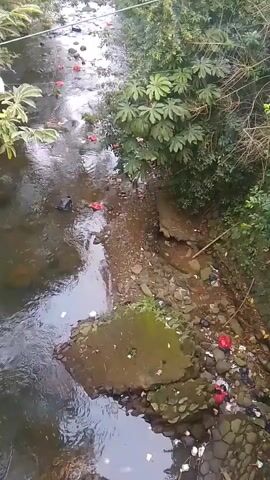 A flowing body of water, likely a stream or small river, is seen from an elevated perspective. The water is murky and contains several pieces of red and black plastic debris, as well as other litter. The banks of the stream are lined with rocks, soil, and lush green vegetation, including large-leafed plants. There are also some concrete fragments visible on the bank. The scene appears to be an outdoor environment, possibly a natural setting impacted by pollution. No people or animals are visible.