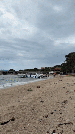 Cloudy Ko Samui morning: rough seas, low-flying planes, and a rooster at breakfast