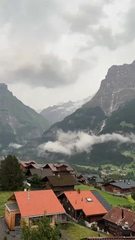 This media file captures a panoramic view of a picturesque village nestled in a valley at the foot of towering, majestic mountains. The scene is dominated by the rugged, rocky peaks of the Swiss Alps, with streaks of snow visible near their summits. Verdant, tree-covered slopes descend from the mountains into the valley, where a cluster of traditional chalets with distinctive red-tiled roofs are spread across the landscape. Some of the chalets are in the foreground, showcasing their architectural style, while others are further down the hillside, forming the charming village. Wisps of white clouds drift through the valley, adding a dramatic and atmospheric quality to the scene. The overall impression is one of serene, natural beauty and a peaceful rural setting.

The time of day appears to be overcast, likely morning or late afternoon, given the soft, diffused light and the grey, cloudy sky. The weather seems to be cool and possibly damp, contributing to the moody atmosphere. The location is clearly a mountainous region, and the architecture strongly suggests the Swiss Alps, specifically Grindelwald, Switzerland, as indicated by the context.

There is no visible text in the media file. The emotion conveyed is one of awe and tranquility, emphasizing the grandeur of nature and the idyllic lifestyle of the mountain village. The activity taking place is the observation of this serene landscape.