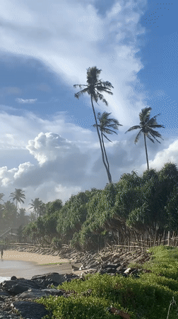 Tourist documents scenic Ahangama beach during morning coastal visit