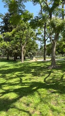 This media file captures a peaceful, sun-drenched park scene. The primary subjects are the lush green grass and the mature trees that dominate the landscape. Sunlight dapples through the leaves, casting intricate shadows on the lawn, indicating it is daytime. The sky is clear and blue, suggesting pleasant weather.

In the background, a paved pathway winds through the park, lined with more trees and some decorative landscaping. A lamppost stands near the path, hinting at a well-maintained public space. There are no people or animals visible in the immediate foreground, contributing to the serene atmosphere. The overall impression is one of tranquility and natural beauty.

While specific location cues within the frame are limited, the provided context places this scene in Beverly Hills, United States of America. This information suggests a likely affluent and well-kept urban park. The time of day appears to be morning or early afternoon, given the bright sunlight and the angle of the shadows. The mood evoked is one of calm and relaxation, a typical feeling associated with a quiet day in a beautiful park. No text is visible in the media file.